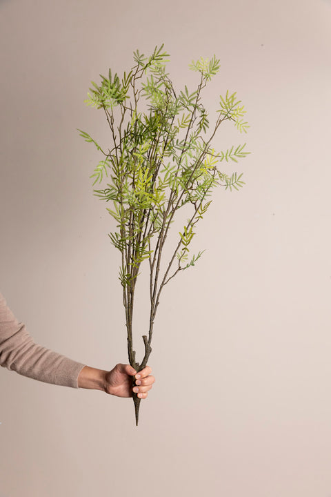 Gren - Mimosa H110cm Green