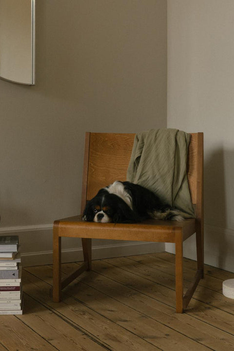 Lenestol - Easy Chair 01 Warm Brown Birch