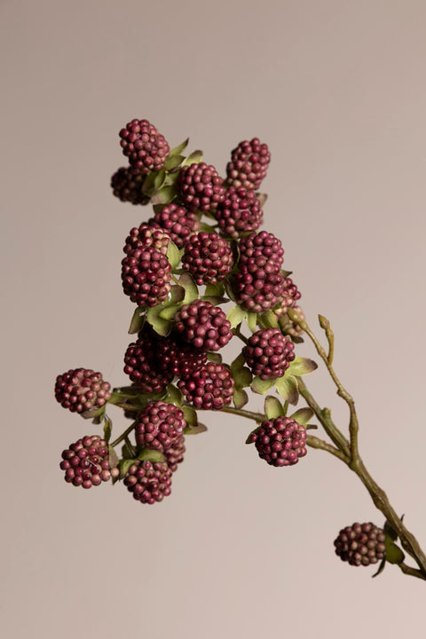 Kvist - Black Berries H107cm Red