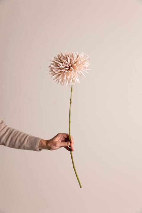 Kvist - Chrysant H60cm