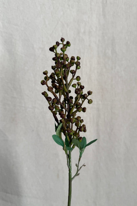 Kvist - Bærkvist H54cm Lilla