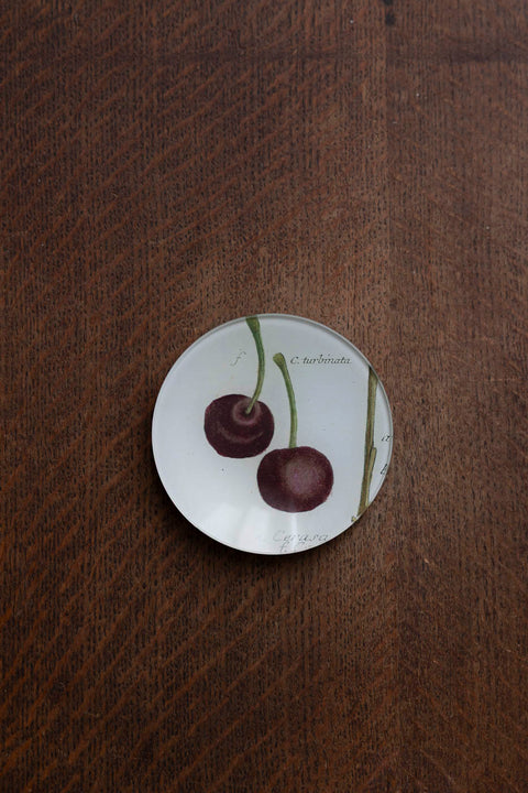 Glassfat - Decoupage Turbinata