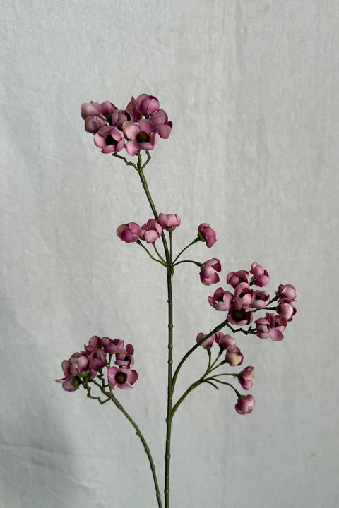 Blomst - Ferskenblomst H67cm Lilla
