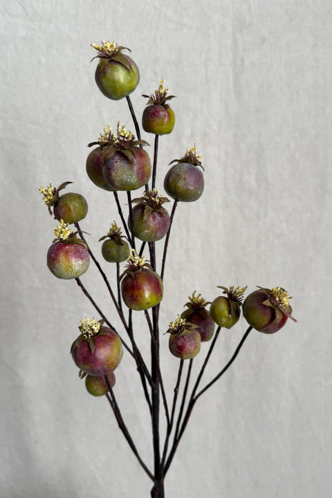 Kvist - Valmuekapsel H75cm Grønn