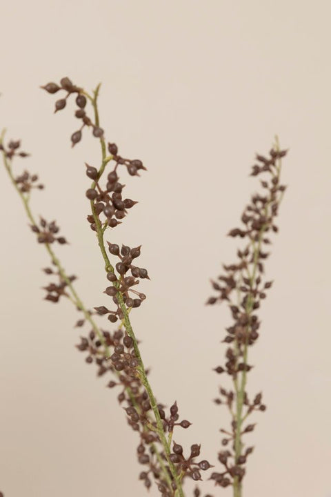 Kvist - Bærkvist H75cm Brun