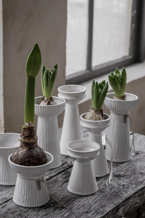 Løkvase - H16cm Naturhvit
