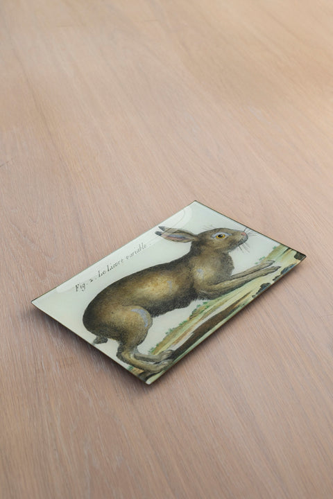 Glassfat - Decoupage Rabbit