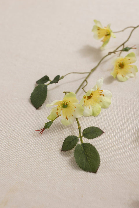 Girlander - Japansk Klatrerose L125cm