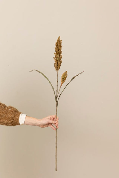 Strå - Sorghum H85cm Beige