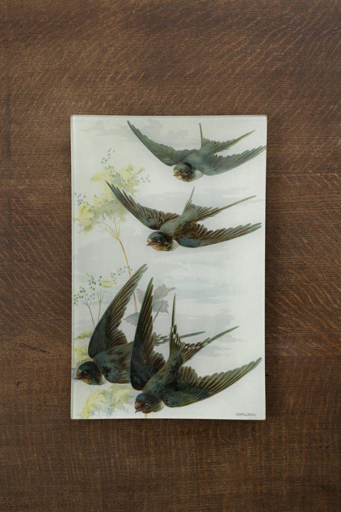 Glassfat - Decoupage Swallows