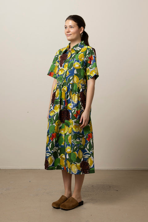 Kjole - Sketched Fruit Print Shirt Dress Verdigris/Multi