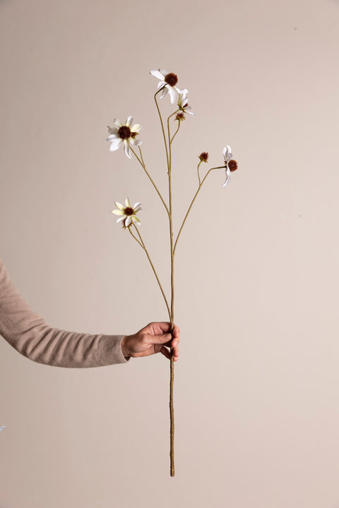 Blomst - Rudbeckia H91cm White