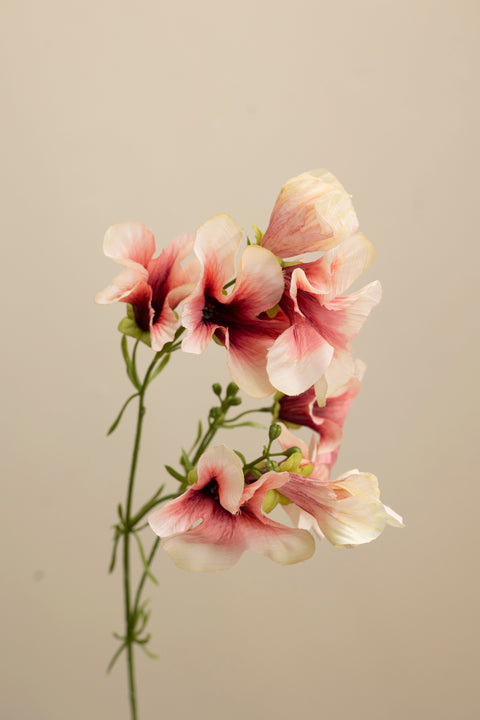 Blomst - Petunia H90cm Rosa