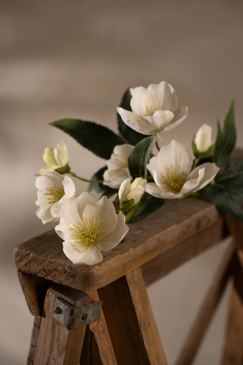 Blomst - Julerose H57cm Hvit/Gul