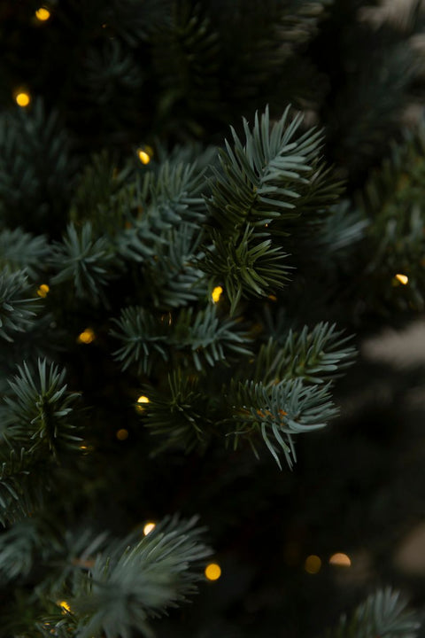 Tre - Gran m/Belysning H120cm