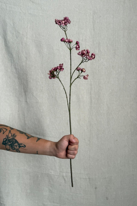 Blomst - Ferskenblomst H67cm Lilla