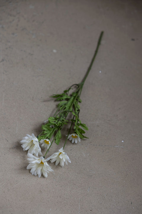 Blomst | Prestekrage H50cm