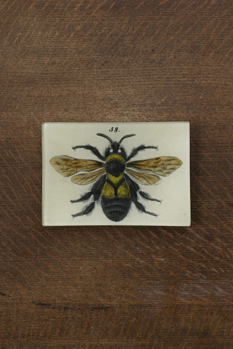 Glassfat - Decoupage Bee 38