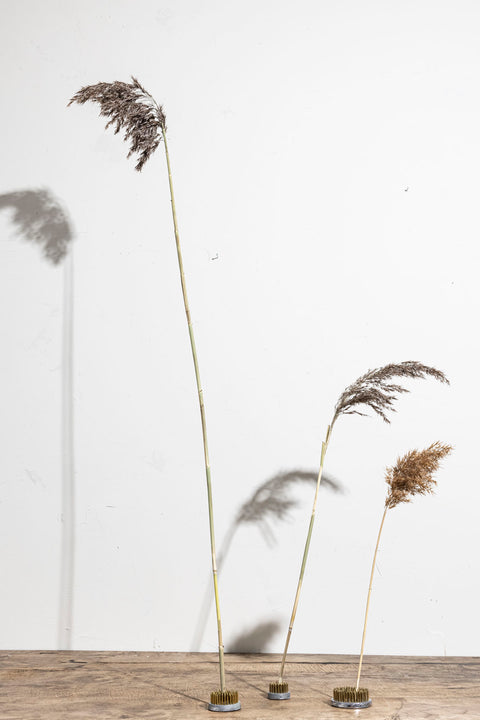 Blomsterfakir - 7,5cm Metall