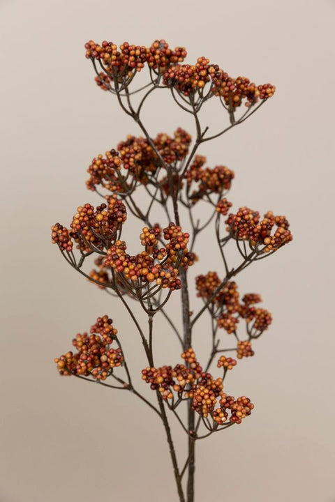 Kvist - Bærkvist H80cm Rød