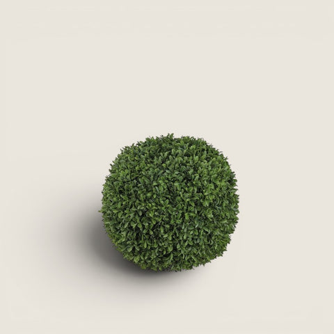 Buxbom - Dia40cm