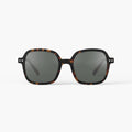 Solbriller - #Office Tortoise