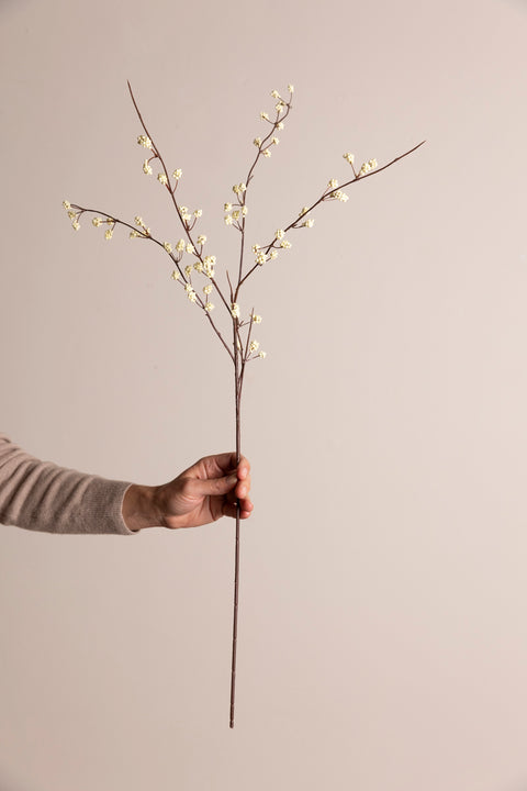 Kvist - Berry H80cm Cream