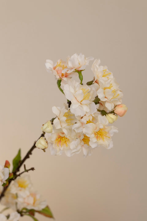 Gren - Kirsebærblomst H60cm Cream