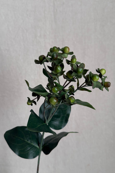 Blomst - Perikum H68cm Grønn