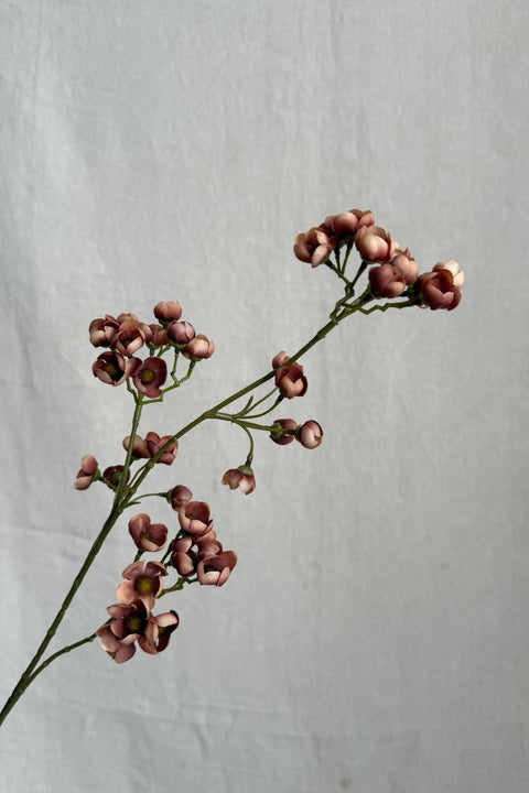 Blomst - Ferskenblomst H67cm Rosa