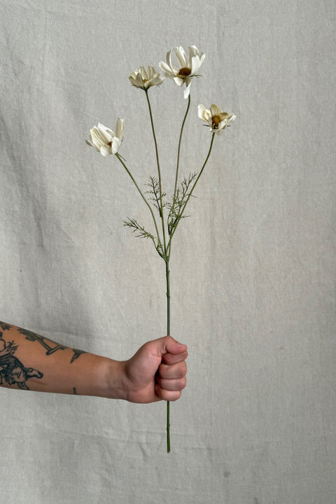 Blomst - Kosmos H60cm Krem