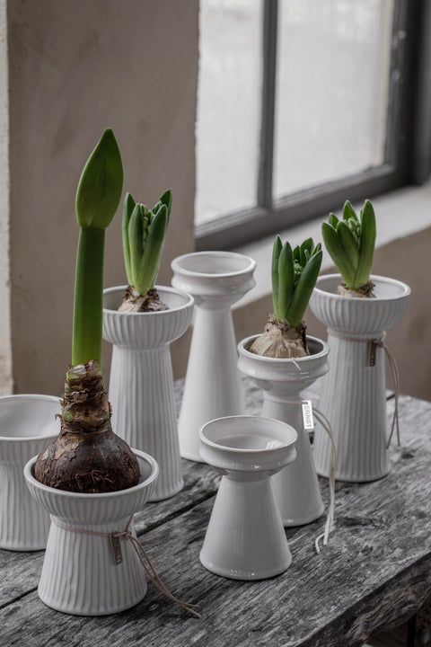 Løkvase - H12cm Naturhvit