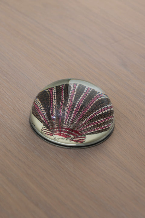 Papirvekt - Decoupage Scallop