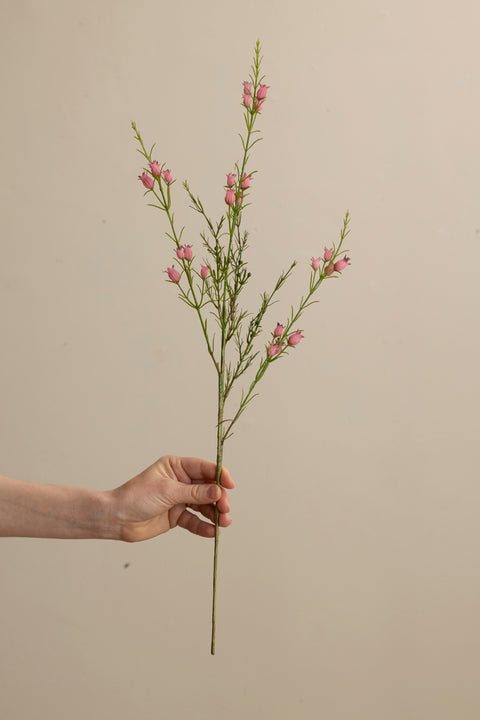 Kvist - Calluna H63cm Rosa