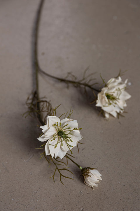 Blomst | Nigella H55cm Hvit