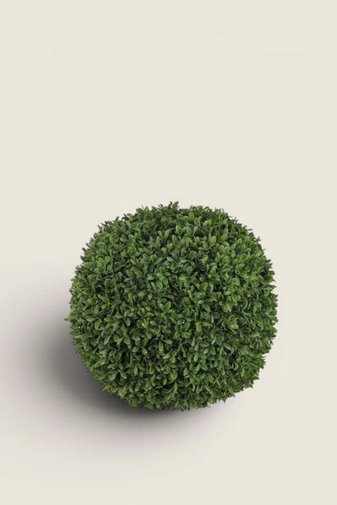 Buxbom - Dia40cm