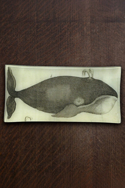 Glassfat - Decoupage Spouting Whale