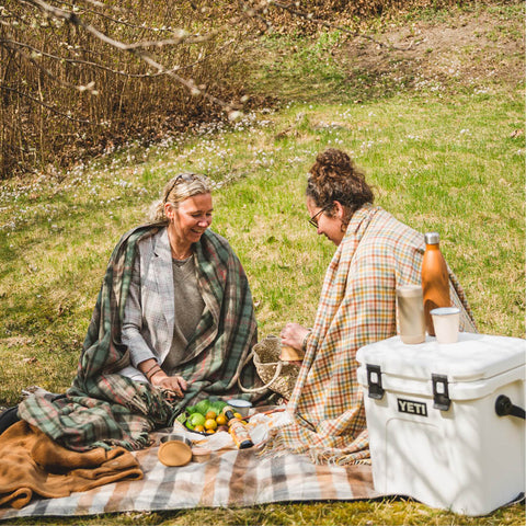 Hanne og Cathrine på piknik