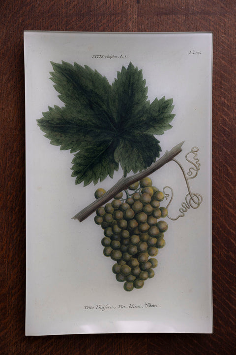 Glassfat - Decoupage White Grapes