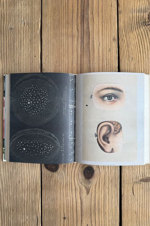 Klistremerkebok - John Derian Sticker Book II