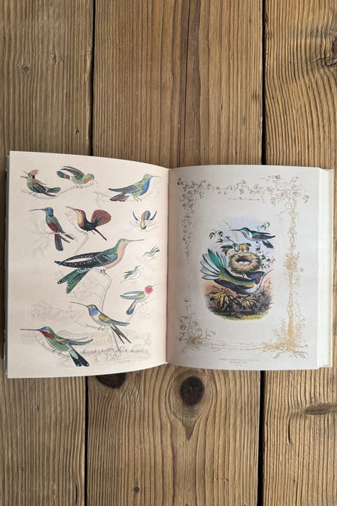 Klistremerkebok - John Derian Sticker Book II