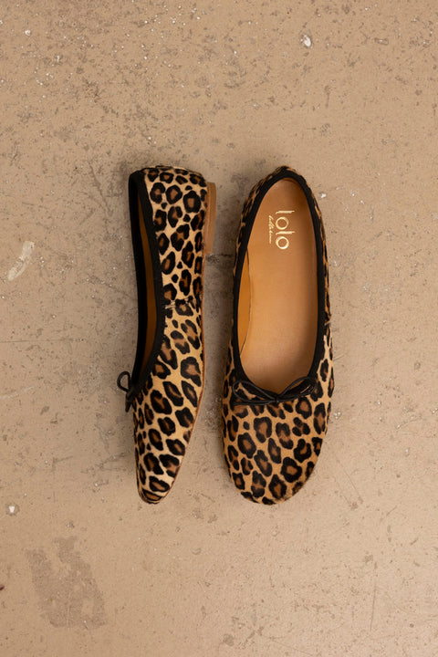 Ballerina - Volcano Cavallino Wildcat