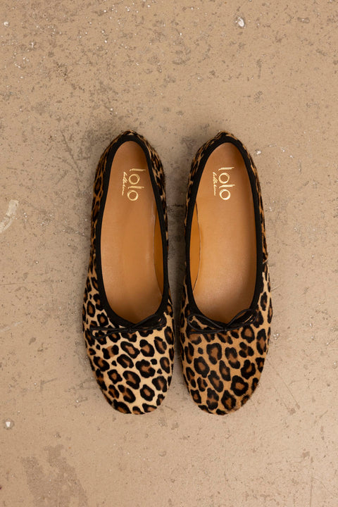 Ballerina - Volcano Cavallino Wildcat