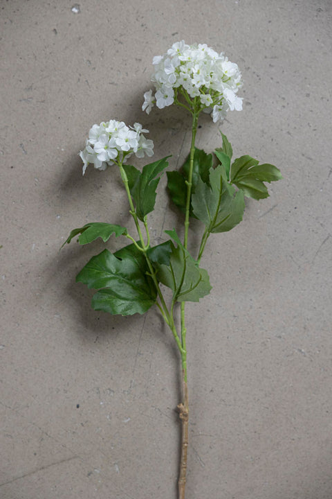 Blomst | Olvon H60cm