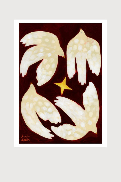 Plakat -  Dancing Around the Star 50x70cm