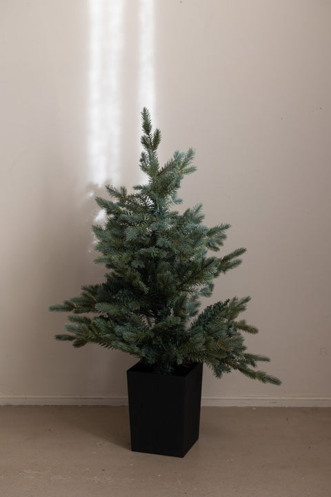 Tre - Greyland H95cm m/Lys