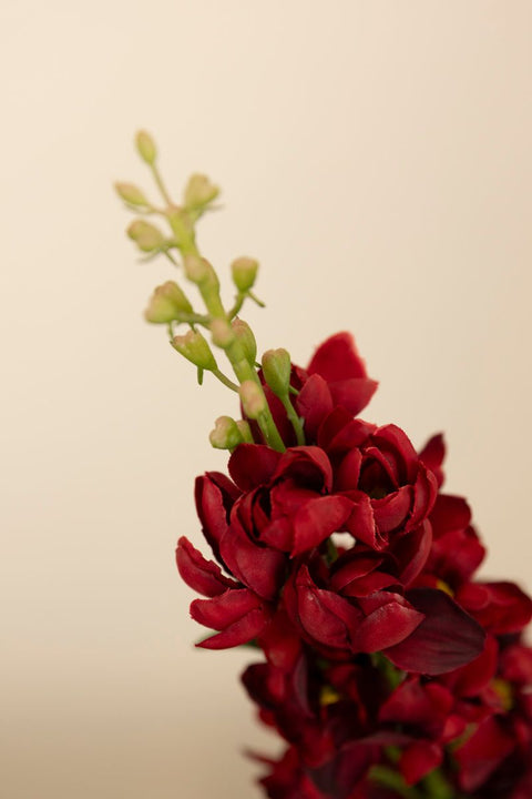 Blomst - Ridderspore H75cm Burgunder