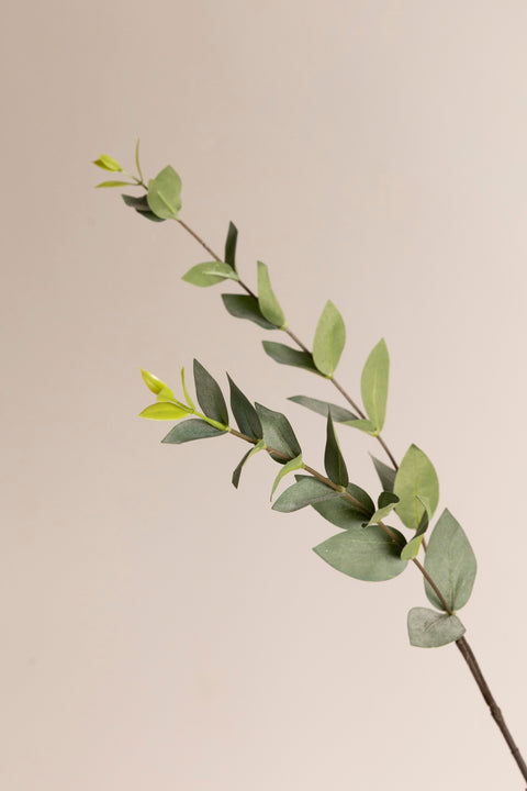 Kvist - Leaf H137cm Green