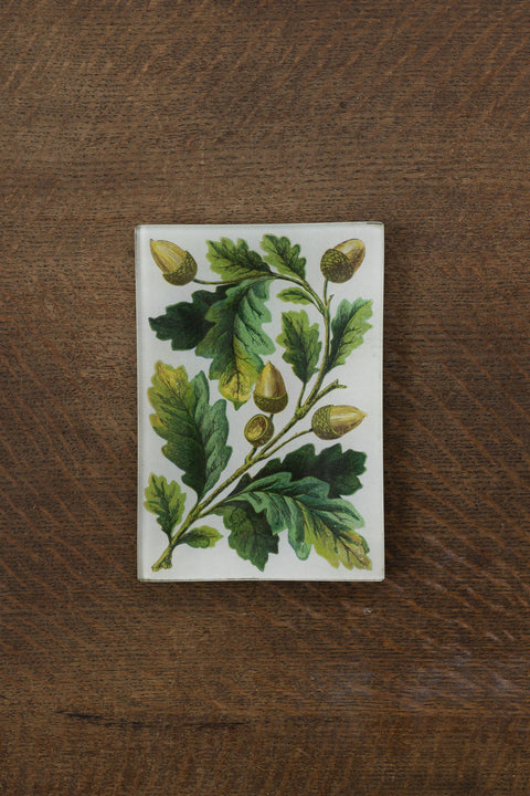 Glassfat - Decoupage Acorn Bunch