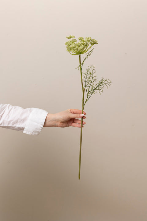 Blomst - Vill Gulrot H70cm Grønn